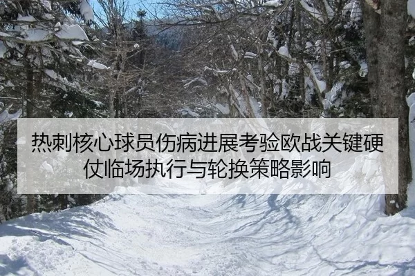 re-ci-he-xin-qiu-yuan-shang-bing-jin-zhan-kao-yan-ou-zhan-guan-jian-ying-zhang-lin-chang-zhi-xing-yu-lun-huan-ce-lve-2-762.jpg