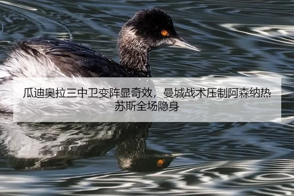 gua-di-ao-la-san-zhong-wei-bian-zhen-xian-qi-xiao-man-cheng-zhan-shu-ya-zhi-a-sen-na-re-su-si-quan-chang-yin-shen-2-612.jpg